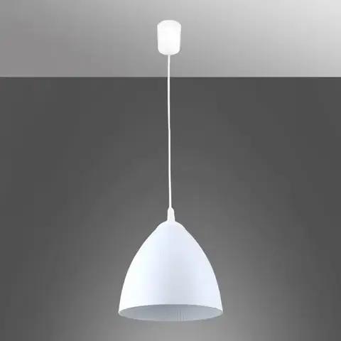Lampy do obývačky Luster DAWID 11747 WHITE 1XE27