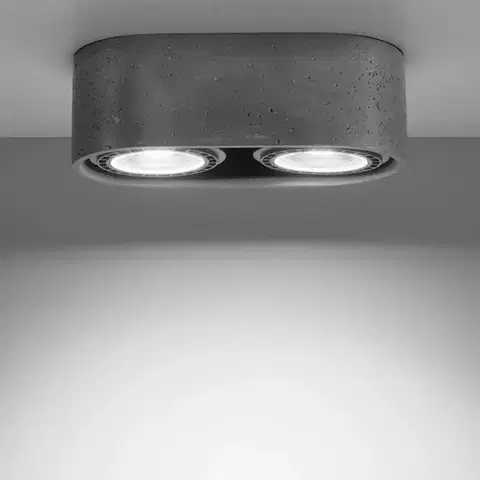 Lampy do obývačky Stropná lampa Ellen 2 betón