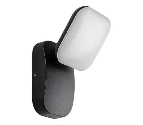 LED osvetlenie Rabalux 77057 - LED Vonkajšie nástenné svietidlo ODIEL LED/12W/230V IP44 čierna 77057
