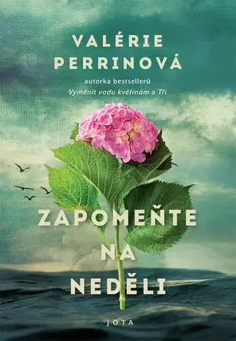 Romantická beletria Zapomeňte na neděli - Valérie Perrin