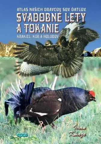 Príroda Svadobné lety a tokanie - Ivan Kňaze