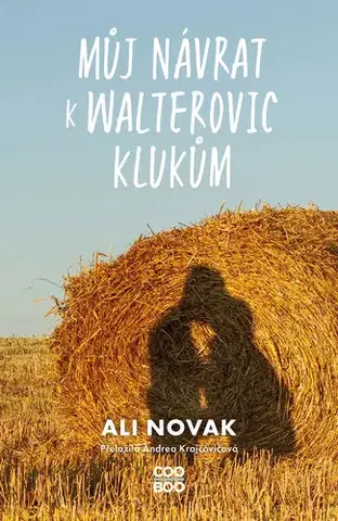 Young adults Můj návrat k Walterovic klukům - Ali Novak