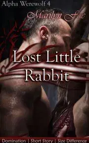 Romantická beletria Lost Little Rabbit - Fae Marilyn