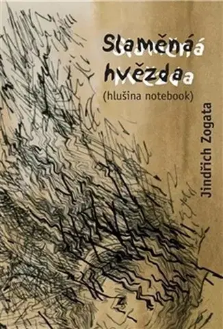 Česká beletria Slaměná hvězda - Jindřich Zogata