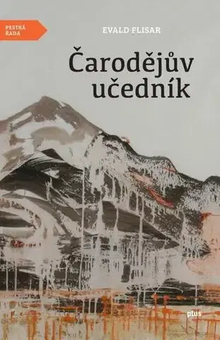 Svetová beletria Čarodějův učedník - Evald Flisar,Petr Pastrňák,Kamil Valšík