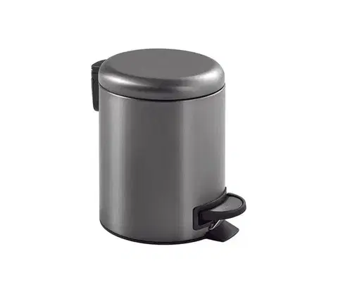 Svietidlá Gedy - odpadkový kôš POTTY 3 l s tichým zatváraním, metalická sivá 320981