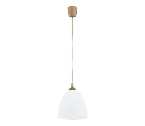 Svietidlá  Luster na lanku LERA 1xE27/15W/230V zlatá 61465