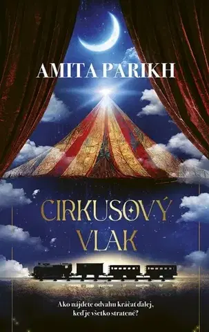 Svetová beletria Cirkusový vlak - Amita Parikh,Jana Seichertová
