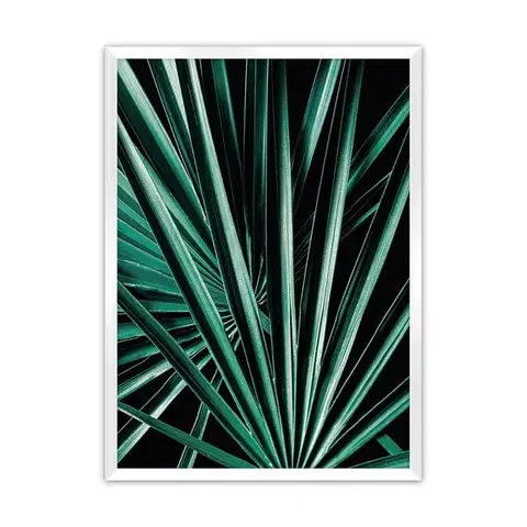 Obrazy Plagát Dark Palm Tree