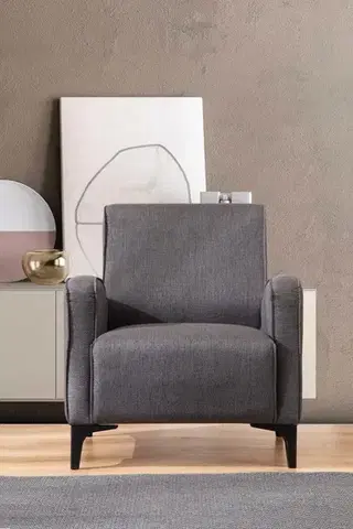 Kreslá Kreslo ušiak Petra - Anthracite