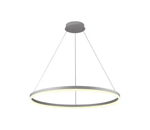 Svietidlá BRILAGI - LED stmievateľný luster na lanku CIRCLE LED/55W/230V 3000-6500K strieborný + DO BG-J4309/S