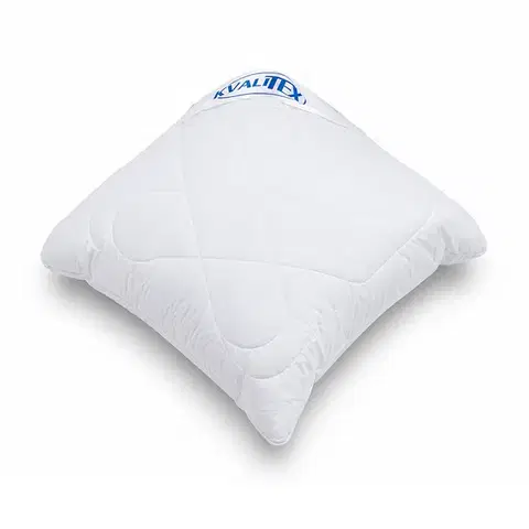 Vankúše Kvalitex Vankúš Aloe Vera so zipsom 300 g, 40 x 40 cm