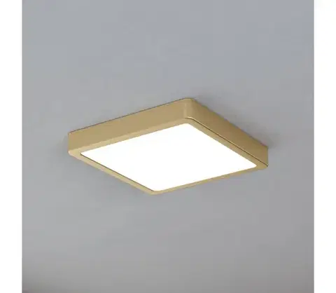 Svietidlá Eglo 900183 - LED stropné svietidlo FUEVA LED/17W/230V 900183