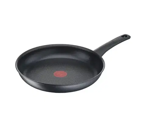 Panvice a hrnce Tefal - Panvica EASY CHEF 24 cm G2700423