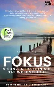 Svetová beletria Fokus & Konzentration auf das Wesentliche - Simone Janson