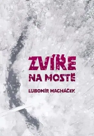 Česká beletria Zvíře na mostě - Lubomír Macháček