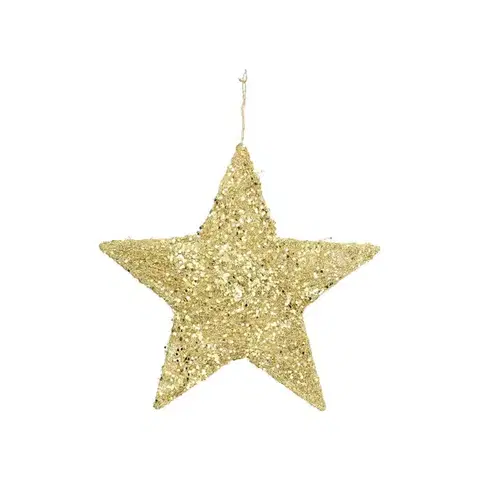 Vianočné dekorácie Dekorácia Golden Star 25cm