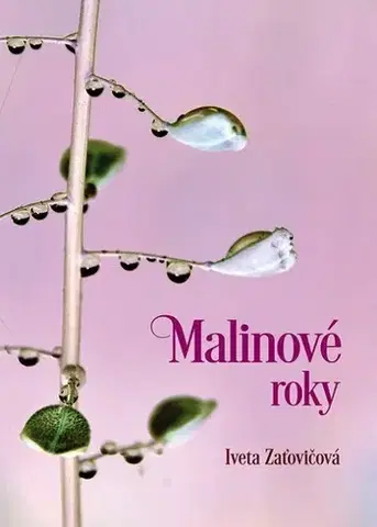 Slovenská beletria Malinové roky - Iveta Zaťovičová