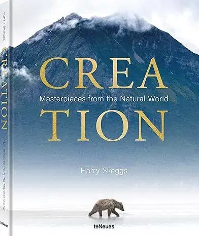 Fotografia Creation - Harry Skeggs