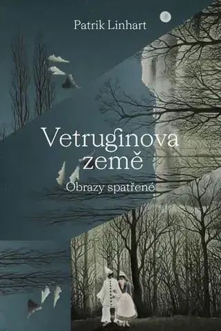 Beletria - ostatné Vetruginova země - Patrik Linhart