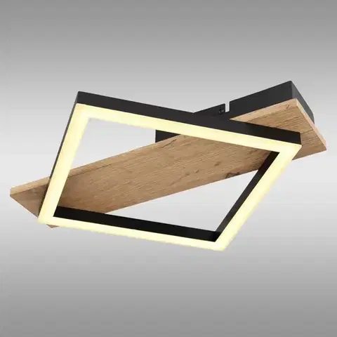 Lampy do obývačky Stropné svietidlo Beatrix 67294D LED LS1