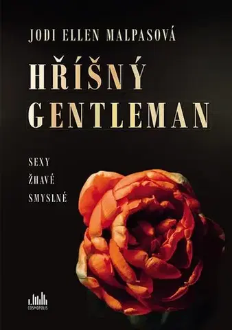 Erotická beletria Hříšný gentleman - Jodi Ellen Malpas