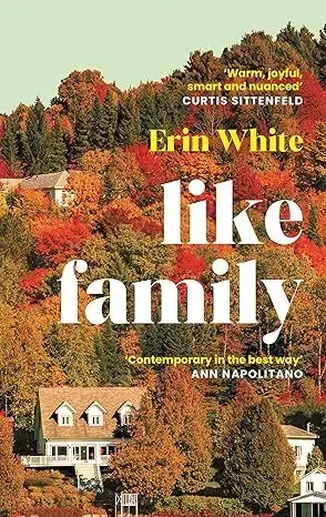 Svetová beletria Like Family - Erin White