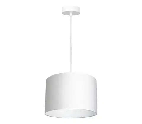 Svietidlá  Luster na lanku ARDEN 1xE27/60W/230V pr. 25 cm biela 3427