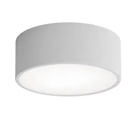 Svietidlá  Stropné svietidlo CLEO 1xE27/24W/230V pr. 20 cm šedá 5907623613912