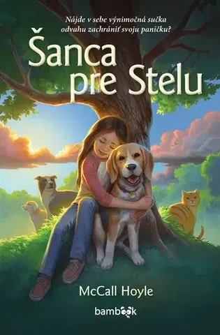 Pre deti a mládež - ostatné Šanca pre Stelu - Hoyle McCall,Daniela Hrúziková
