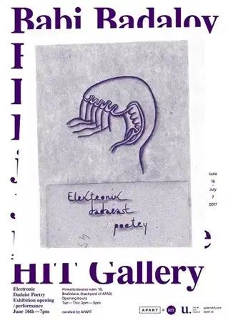 Cudzojazyčná literatúra Elektronik Dadaest Poetry - Babi Badalov