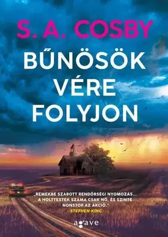 Detektívky, trilery, horory Bűnösök vére folyjon - S. A. Cosby