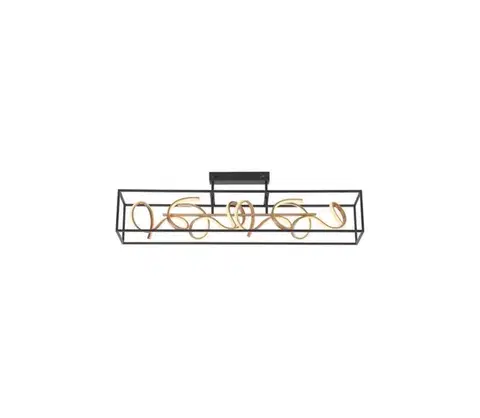 Svietidlá Paul Neuhaus 6473-18 - LED Stmievateľný luster na tyči SELINA 4xLED/10,2W/230V 6473-18
