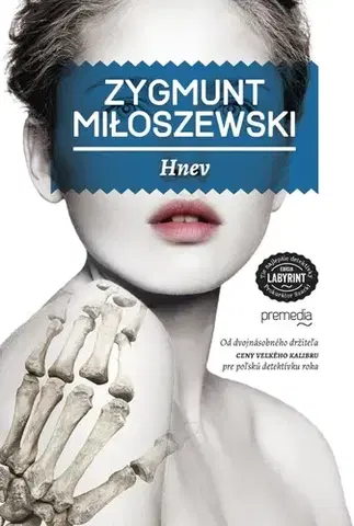 Detektívky, trilery, horory Hnev - Zygmunt Miloszewski