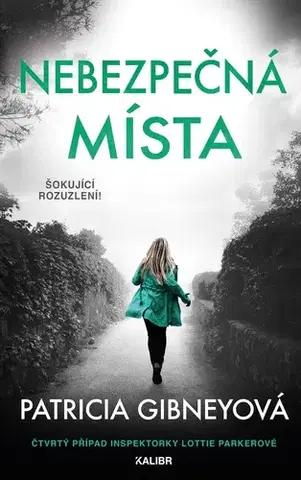 Detektívky, trilery, horory Nebezpečná místa - Patricia Gibneyová