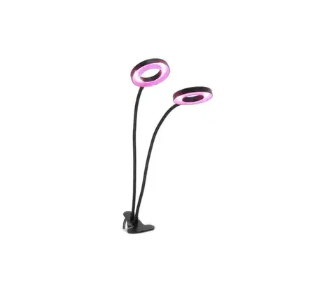 Lampy  LED stolná lampa s klipom pre pestovanie VITARO 2xLED/4W/230V čierna 004015