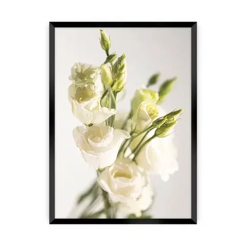 Obrazy Plagát Elegant Flowers