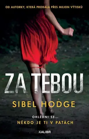 Detektívky, trilery, horory Za tebou - Sibel Hodge