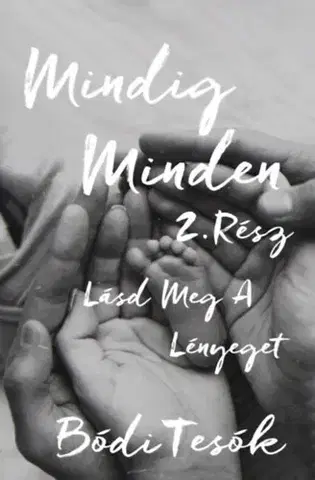 Svetová beletria Mindig minden 2: Lásd meg a lényeget - Bódi Tesók