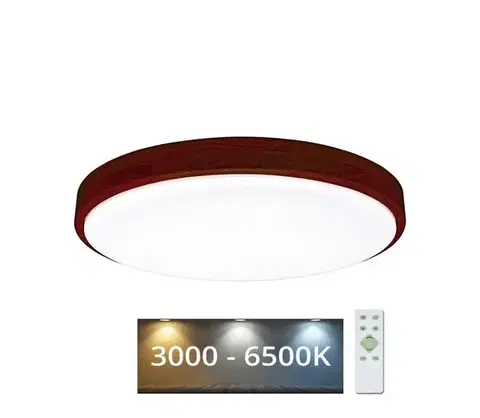 Svietidlá  WLD400-24W/LED/TD