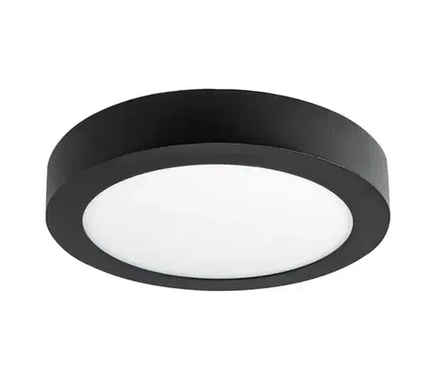 Svietidlá Greenlux LED Stropné svietidlo FENIX LED/12W/230V 2800K pr. 17 cm 