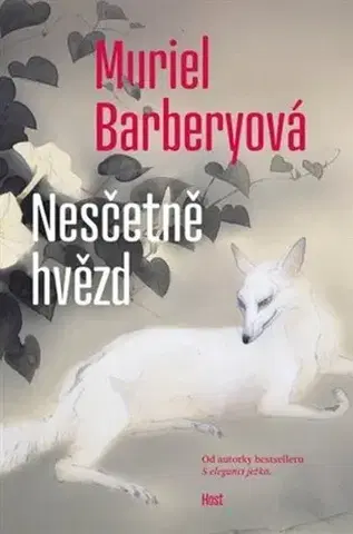 Svetová beletria Nesčetně hvězd - Muriel Barbery,Eva Sládková