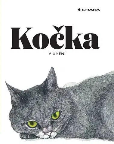Maliarstvo, grafika Kočka v umění - Angus Hyland,Caroline Roberts