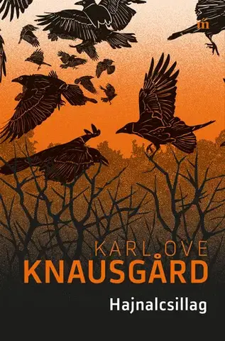 Svetová beletria Hajnalcsillag - Karl Ove Knausgard