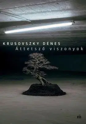 Beletria - ostatné Áttetsző viszonyok - Dénes Krusovszky