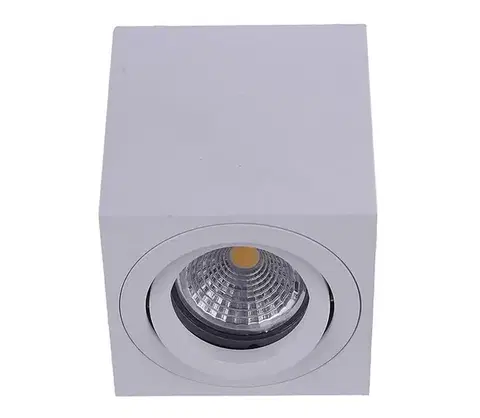 Svietidlá Emithor  - Stropné bodové svietidlo SURFACE 1xGU10/50W/230V 