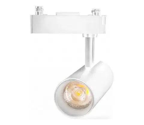 Svietidlá  B.V.  - LED bodové svietidlo pre jednofázový lištový systém LED/24W/230V biela 8433325202224