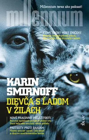 Detektívky, trilery, horory Dievča s ľadom v žilách - Karin Smirnoff