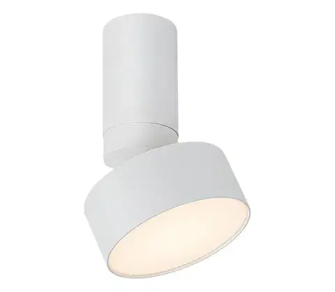 Svietidlá Rabalux 71326 - LED stropné svietidlo OVIDIA LED/10W/230V 3000K biela 71326