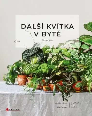 Izbové rastliny Další kvítka v bytě: Ruce od hlíny - Nikol Francová,Veronika Ježková